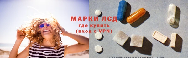 ГАЛЛЮЦИНОГЕННЫЕ ГРИБЫ Корсаков
