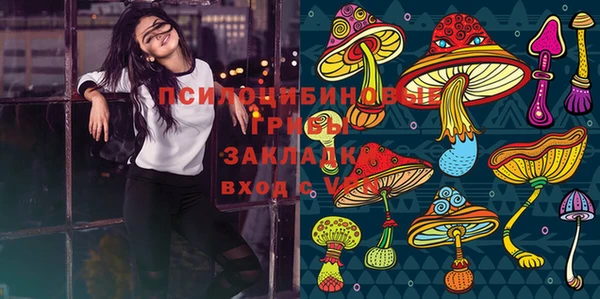 герыч Козловка