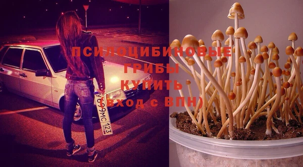 герыч Козловка