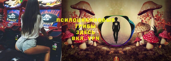 таблы Костерёво