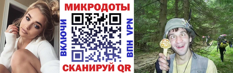 Галлюциногенные грибы Psilocybe Красноуфимск